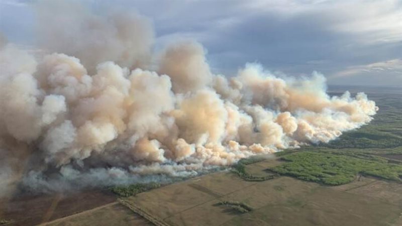 حرائق الغابات