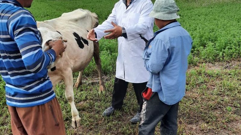 قافلة بيطرية مجانية