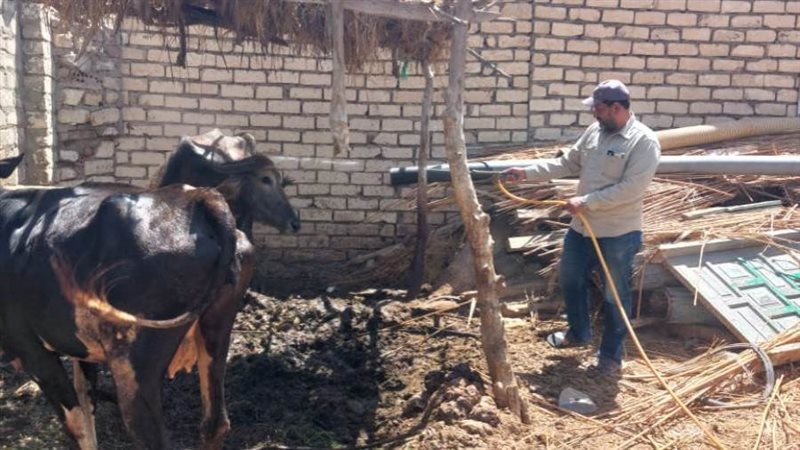 نشاط مكثف للحفاظ