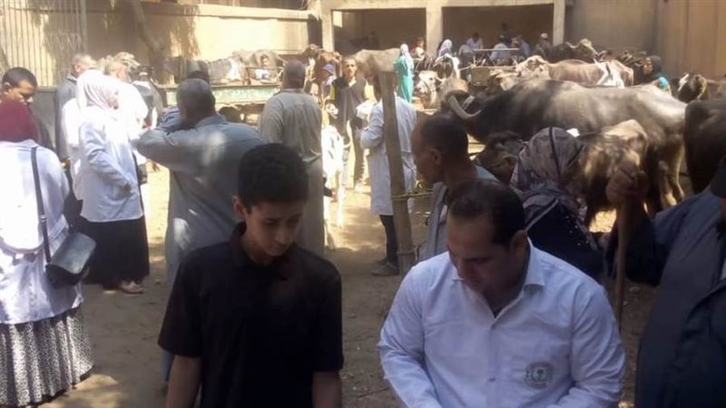 قافلة بيطرية