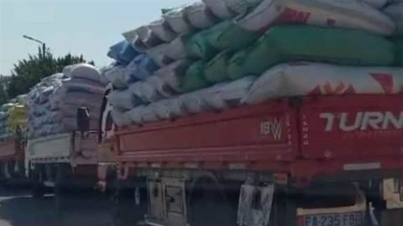 جانب من توريد القمح