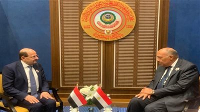 شكري يؤكد التزام مصر بتوفير كافة أوجه الدعم للتوصل لحل سياسي مستدام وجامع للأطراف اليمنية