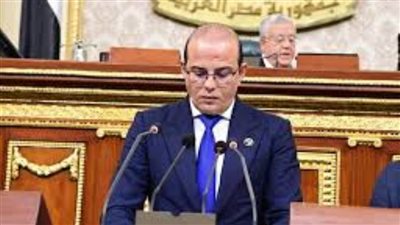 برلماني : إسرائيل تتنصل من المسؤولية الجنائية بتصريحات كاذبة عن معبر رفح