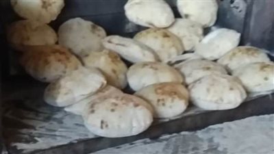 تحرير 62 مخالفة تموينية بحملة مكبرة في القليوبية 