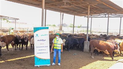 الأورمان تسأل ودار الإفتاء المصرية تجيب.. هل يجوز شراء صك الأضحية بالتقسيط؟