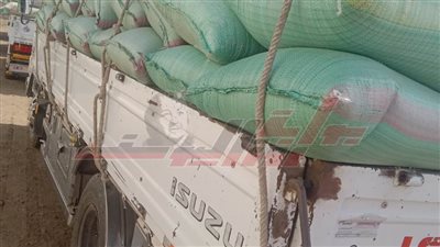 توريد 181 ألفًا و149 طن قمح لمواقع التخزين بكفر الشيخ 
