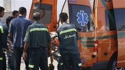 مصرع شاب سقط من أعلى سيارة نقل في الوادي الجديد