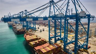 تداول 10 آلاف طن و585 شاحنة بضائع بموانئ البحر الأحمر