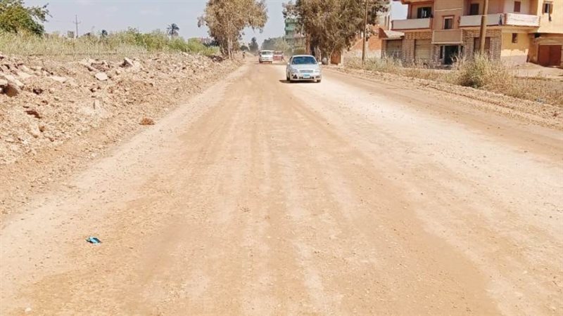 جانب من عمال الرصف