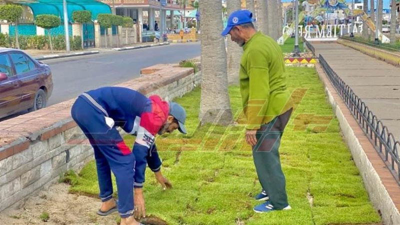 المساحات الخضراء