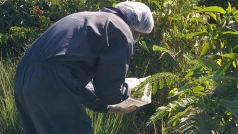 مكافحة ناقلات الأمراض