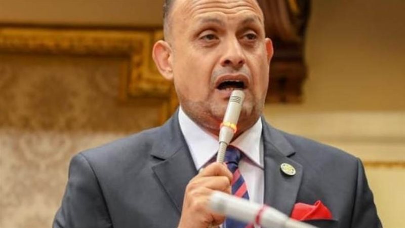 النائب هشام الجاهل