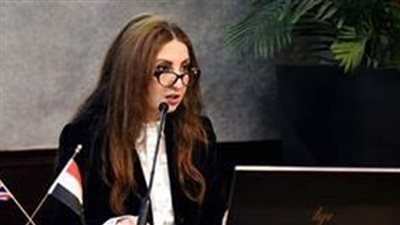 الهيئة العامة للاستثمار والمناطق الحرة تبحث تحديث الإجراءات المالية والمحاسبية للاندماج