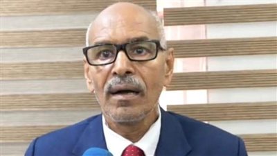 وزير خارجية السودان: الانتهاكات الإسرائيلية في غزة ازدراء لكل المواثيق الدولية