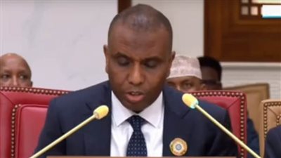الصومال: نأمل فى أن تسفر القمة عن مخرجات تصب في تعزيز التضامن العربي