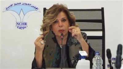 مصر ملتزمة بالاستراتيجية الوطنية.. والوضع في غزة 