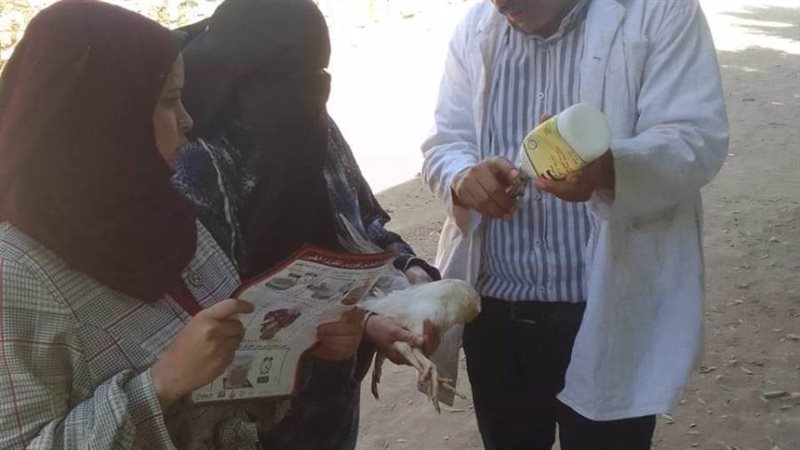 قافلة بيطرية