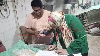 الحملات المكبرة تحرر 15 محضرًا تموينيًا بفوه في كفر الشيخ