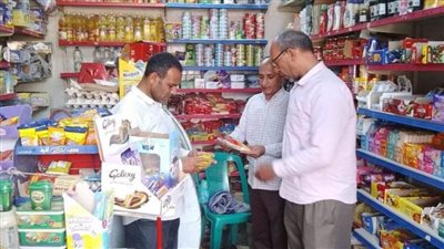 تحرير 255 محضرًا للمنشآت المخالفة بالأسواق بالمنيا