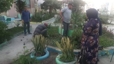 زراعة 4500 شجرة مثمرة بالوحدات المحلية والمدارس بكفر الشيخ