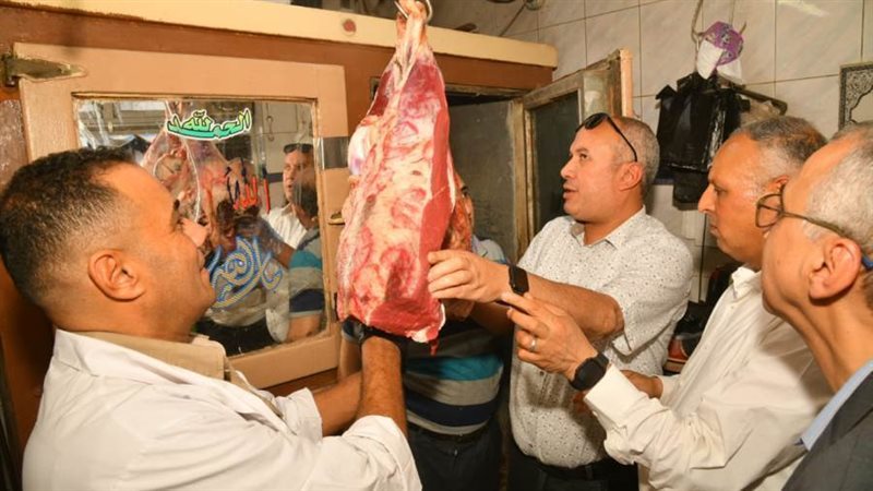 حملات الطب البيطرى