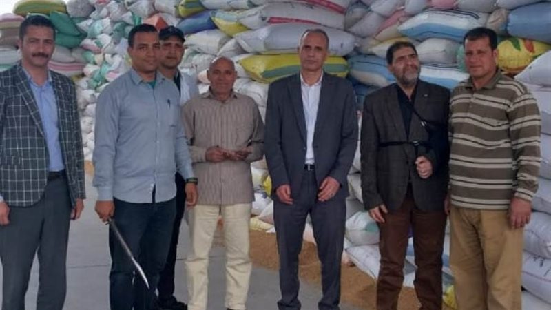 انتظام موسم توريد