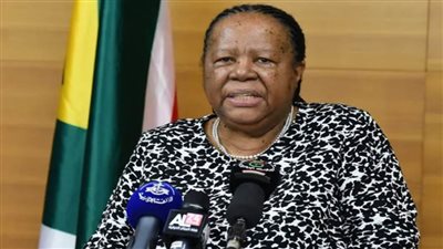 عاجل.. وزيرة خارجية جنوب إفريقيا: ما يحدث في فلسطين 