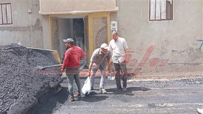 رصف شارع البنك الأهلي بقلين بـ10 ملايين جنيه بكفر الشيخ