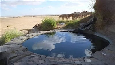 عين السرو.. بئر سحري في قلب الصحراء المصرية 