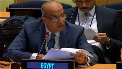 عاجل.. مندوب مصر بالأمم المتحدة: توقف المساعدات عبر معبر رفح نتيجة مباشرة لعدوان إسرائيل على غزة