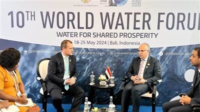 سويلم: حرص مصري على دعم أواصر التعاون بين الدول الإفريقية 