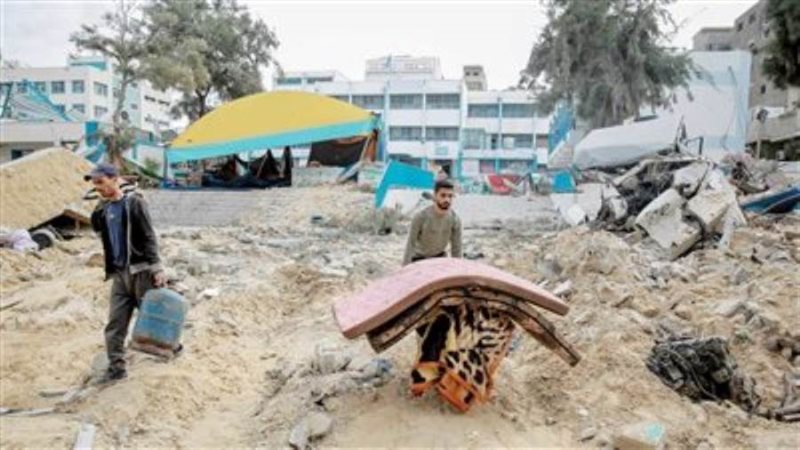 بوابة روز اليوسف