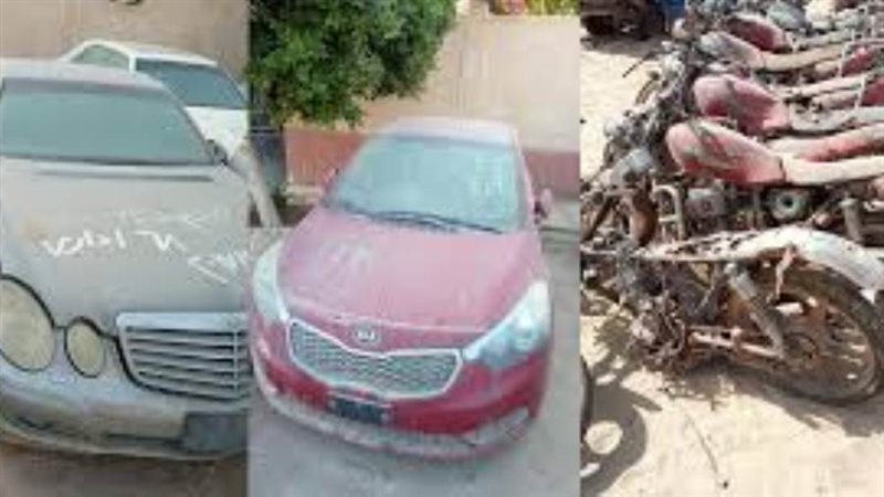 صورة أرشيفية - روزا