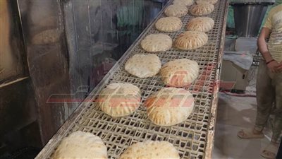 تموين الحامول يحرر 15 محضرًا تموينيًا بكفر الشيخ