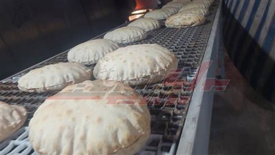 تموين الحامول يحرر 15 محضرًا تموينيًا بكفر الشيخ