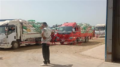 تسلم 195 ألف طن قمح بشون وصوامع كفر الشيخ