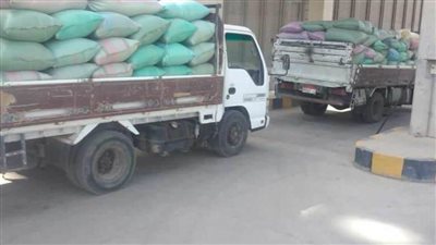 شون وصوامع المنيا تواصل استقبال محصول القمح وتوريد 277 ألف طن