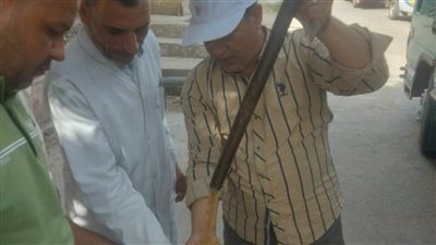 البحيرة: انتظام عمليات توريد القمح وارتفاع معدلاتها إلى 206 آلاف طن 