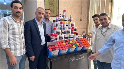 ضبط 4 أطنان جبنة بيضاء و1000 عبوة مواد غذائية ومبيدات زراعية بالبحيرة