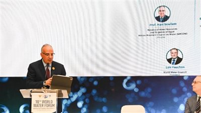 وزير الري: نحتاج لإدارة متكاملة للموارد المائية لتحسين الأوضاع الصحية والبيئية
