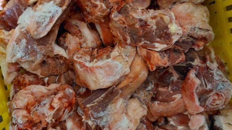 حملات الطب البيطرى