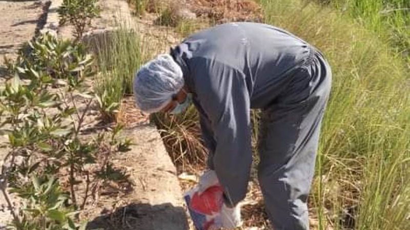 حملات مستمرة لمكافحة