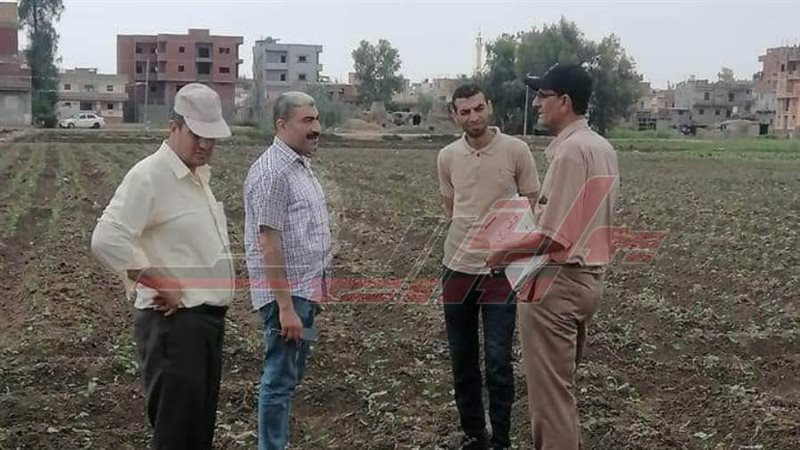 البرنامج الإرشادي