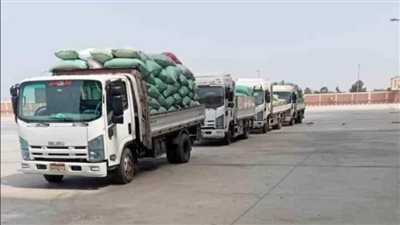 توريد 283 ألف طن من محصول القمح منذ بدء الموسم بالمنيا 