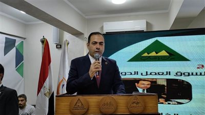 اتحاد شباب الخارج: مكافحة الهجرة غير الشرعية تحظى باهتمام غير مسبوق من الرئيس السيسي