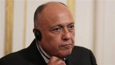 لوقف إطلاق النار بقطاع غزة.. شكري و4 وزراء خارجية عرب يشاركون في اجتماع مع ماكرون بباريس