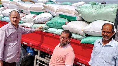 ارتفاع معدلات توريد القمح إلى 212 ألف طن بشون وصوامع وهناجر البحيرة