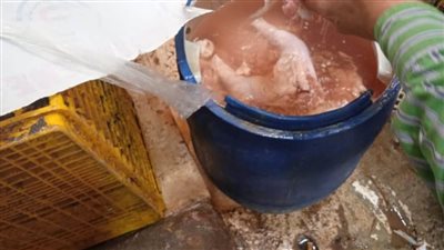 حملات تضبط أغذية غير صالحة للاستهلاك في الغربية