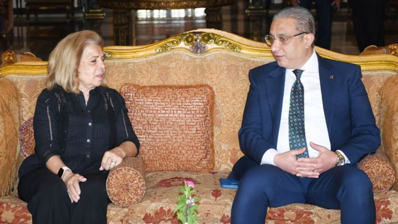 محافظ الفيوم يلتقى