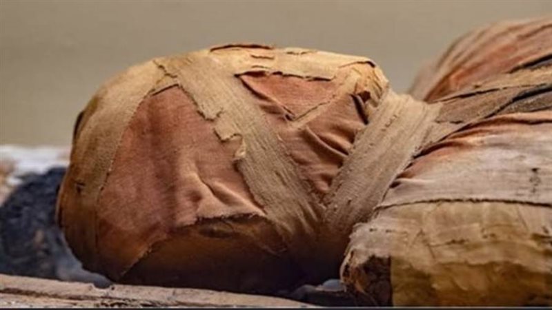 مومياء أثرية ...